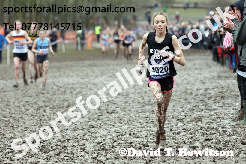 Girls under-15s 2018 British Inter Counties Cross Country Champs., Prestwold Hall, Loughborough. Photo: David T. Hewitson/Sports for All Pics